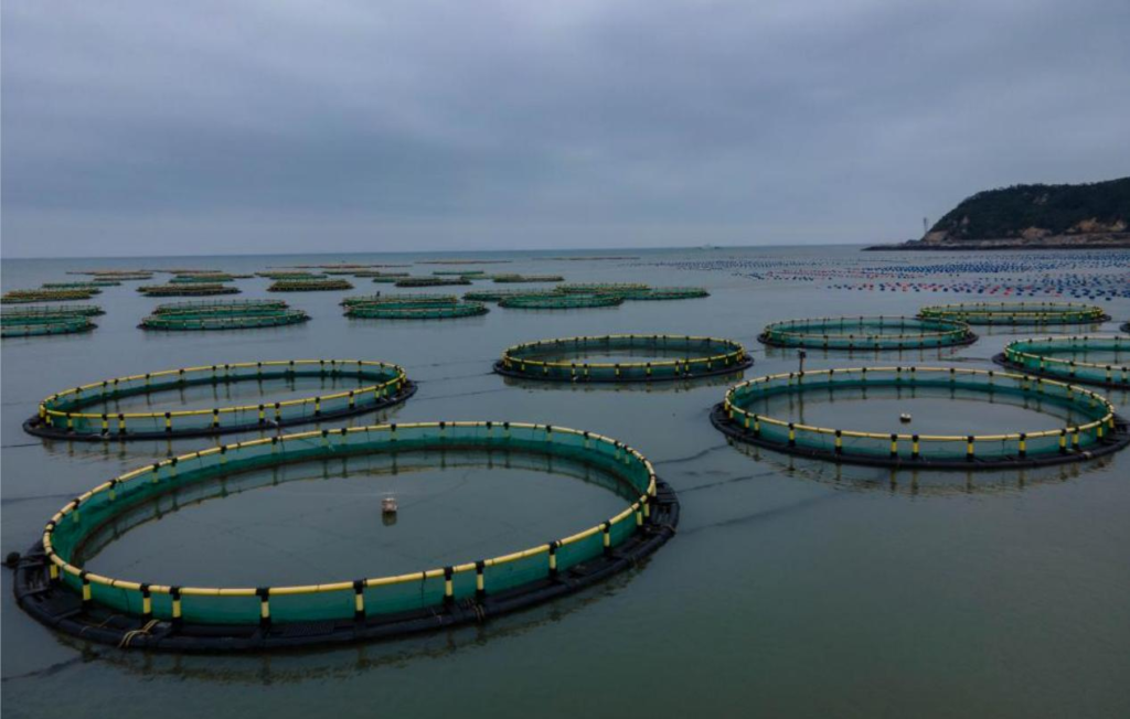The-Transformative-Role-of-Nylon-in-Fish-Farming-Cages-1.png