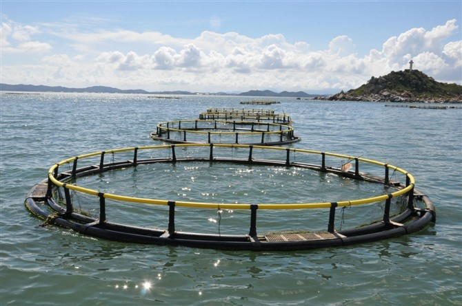 The Transformative Role of Nylon in Fish Farming Cages-2