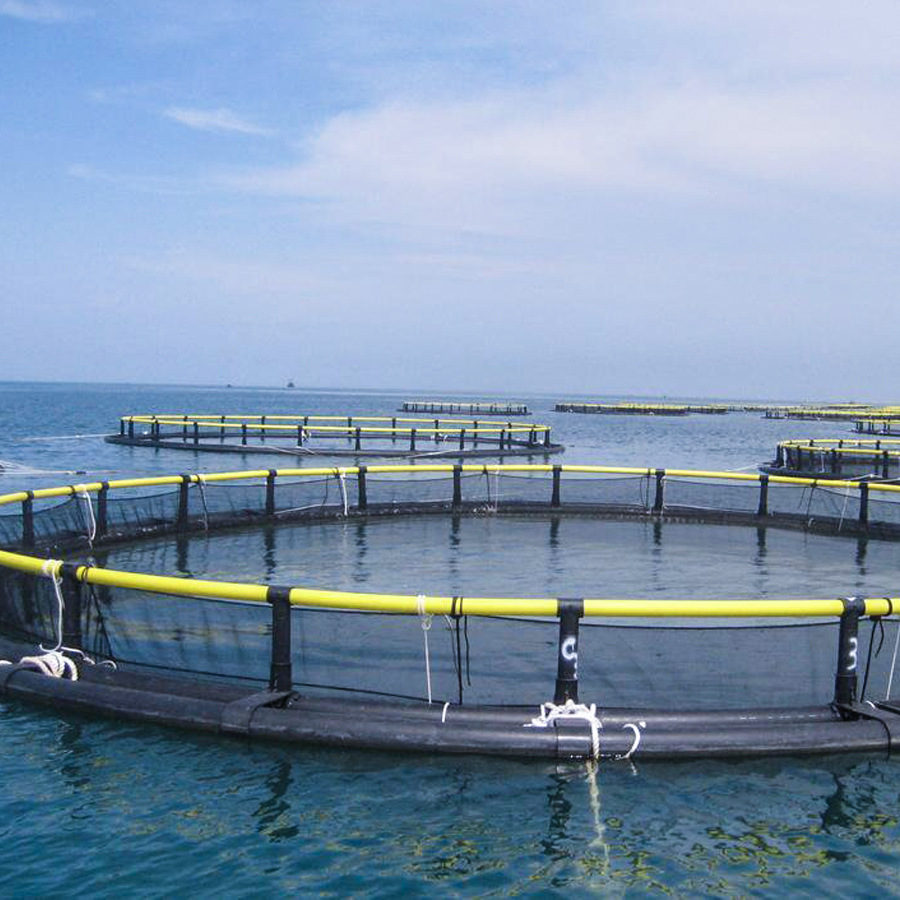 The Transformative Role of Nylon in Fish Farming Cages-3